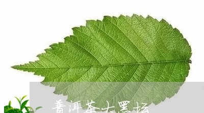 普洱茶大黑坛/2023042542996