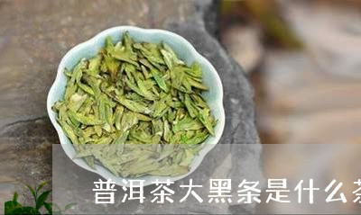 普洱茶大黑条是什么茶/2023062340592