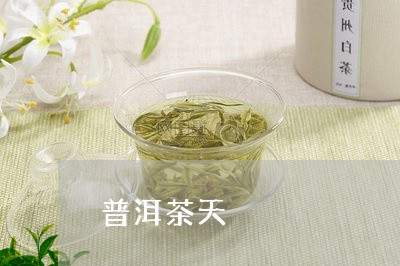 普洱茶天/2023110830371