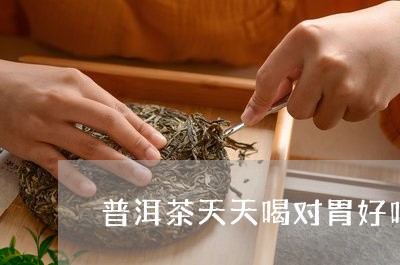 普洱茶天天喝对胃好吗/2023062218484