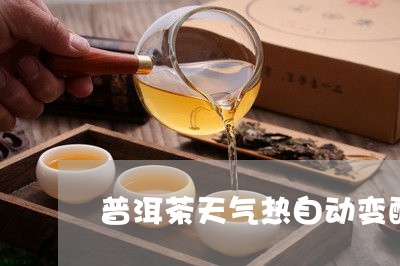 普洱茶天气热自动变酸/2023080110473