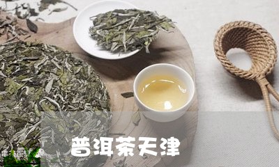 普洱茶天津/2023090547490