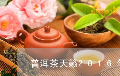 普洱茶天籁2016年/2023062786181