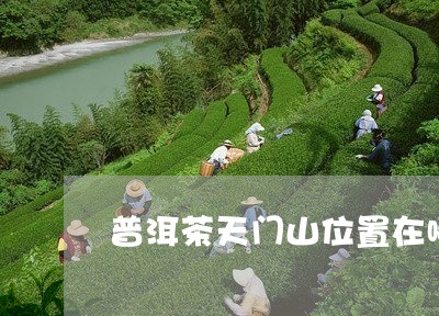 普洱茶天门山位置在哪/2023063086141