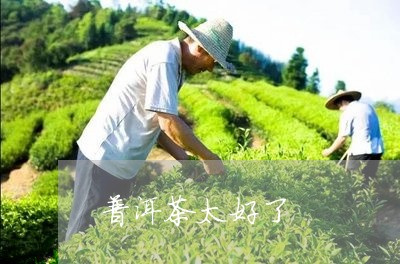 普洱茶太好了/2023090663739