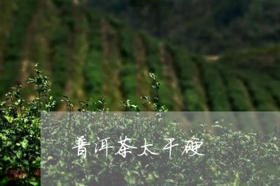 普洱茶太干硬/2023042555177