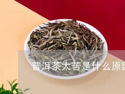 普洱茶太苦是什么原因/2023092828260