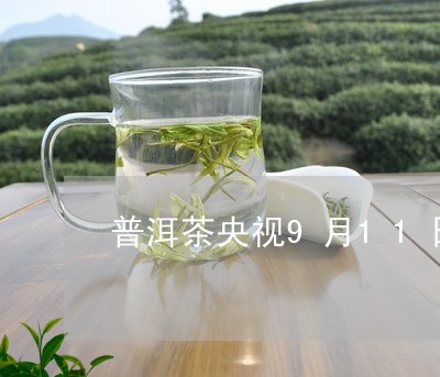 普洱茶央视9月11日/2023062966048