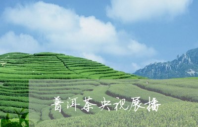 普洱茶央视展播/2023102613138