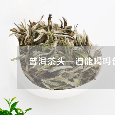 普洱茶头一遍能喝吗普洱茶泡几/2023053012726