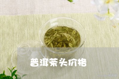 普洱茶头价格/2023042942743