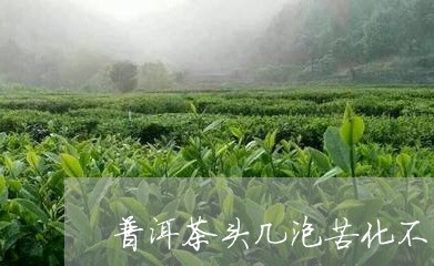 普洱茶头几泡苦化不开/2023061613815