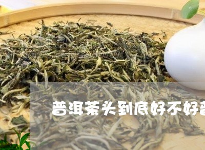 普洱茶头到底好不好普洱茶七两碎银/2023060353594