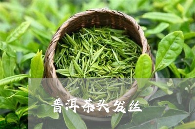 普洱茶头发丝/2023042937614