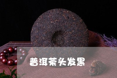 普洱茶头发黑/2023042974693