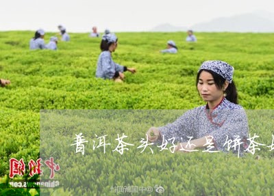 普洱茶头好还是饼茶好/2023073056168