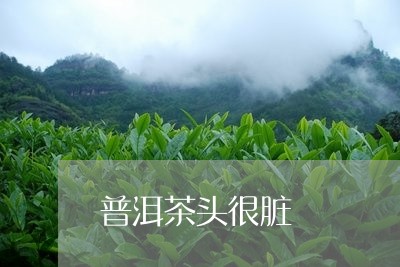 普洱茶头很脏/2023042645372