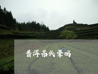 普洱茶头晕吗/2023042626587