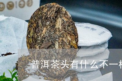 普洱茶头有什么不一样/2023092577251