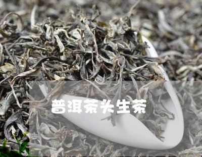 普洱茶头生茶/2023042894637