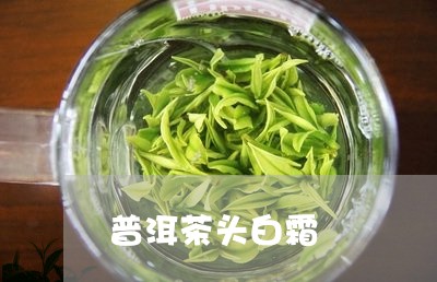 普洱茶头白霜/2023042700583