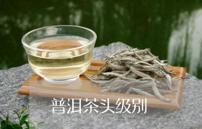 普洱茶头级别/2023042859369