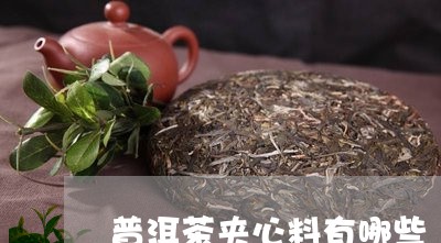 普洱茶夹心料有哪些/2023083064046