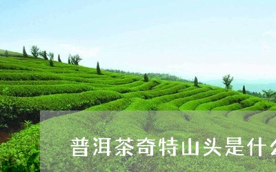 普洱茶奇特山头是什么茶/2023082742848