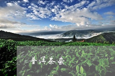 普洱茶套/2023090179624