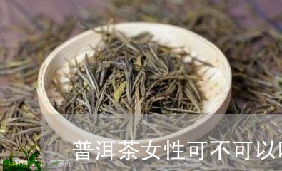 普洱茶女性可不可以喝/2023092657502