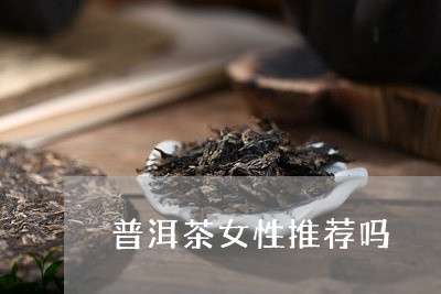 普洱茶女性推荐吗/2023083069573