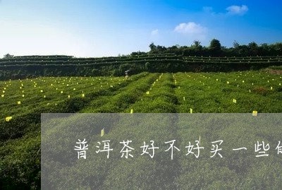 普洱茶好不好买一些的/2023083082814