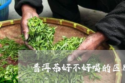 普洱茶好不好喝的区别/2023092778361