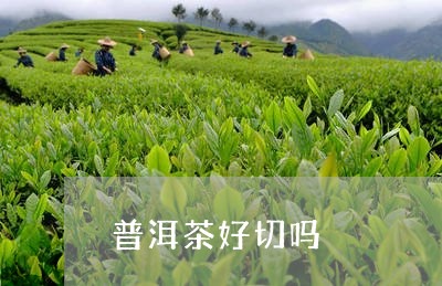 普洱茶好切吗/2023042596599