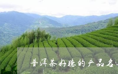 普洱茶好听的产品名字/2023062059816