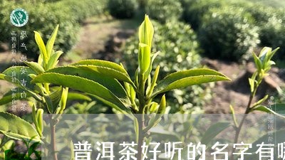 普洱茶好听的名字有哪些/2023083081615