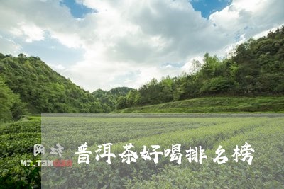 普洱茶好喝排名榜/2023121645956