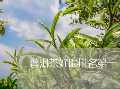 普洱茶好喝排名第一/2023083047158