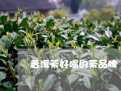 普洱茶好喝的茶品牌/2023070925836