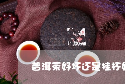 普洱茶好坏还是挂杯好/2023093099473