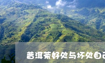 普洱茶好处与坏处自己适用人群/2023053060613