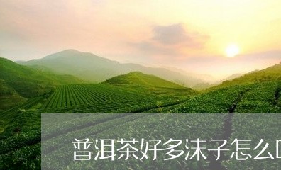 普洱茶好多沫子怎么喝/2023100750581