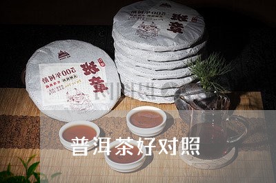 普洱茶好对照/2023091217460