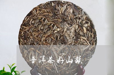 普洱茶好山头/2023042995951