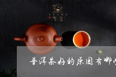 普洱茶好的原因有哪些/2023081618352