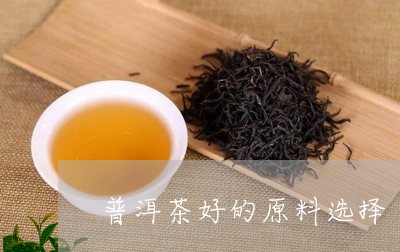 普洱茶好的原料选择/2023083092594