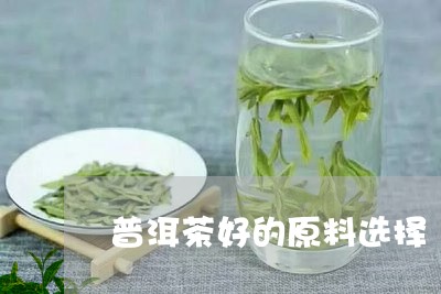 普洱茶好的原料选择/2023121646460