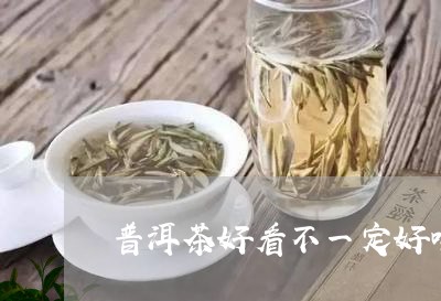 普洱茶好看不一定好喝/2023061440613