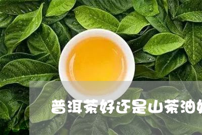 普洱茶好还是山茶油好/2023072357392