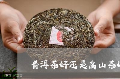 普洱茶好还是高山茶好/2023062198504